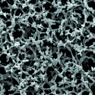 Whatman 硝酸纤维素膜, 7182-004, 7184-004, 7195-004, 10400112